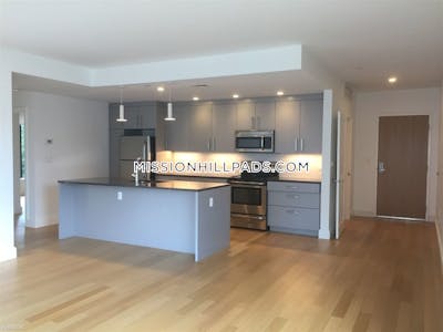 Mission Hill Apartment for rent 3 Bedrooms 2 Baths Boston - $5,505