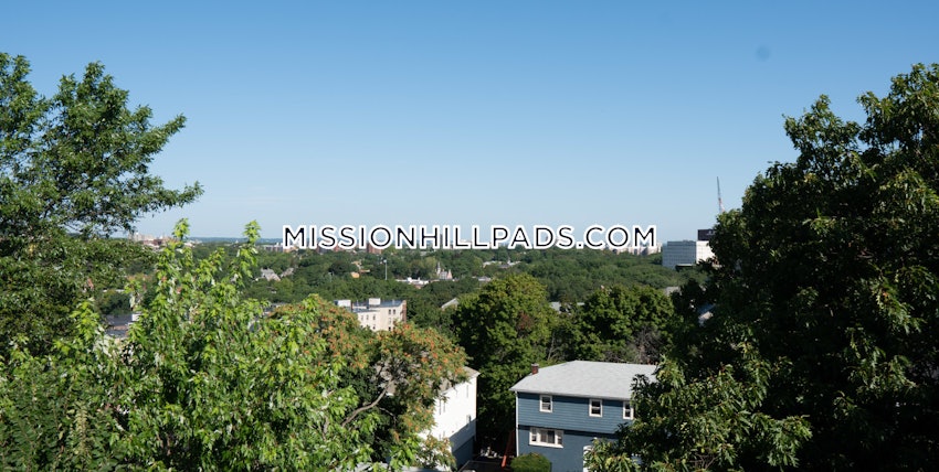BOSTON - MISSION HILL - 1 Bed, 2 Baths - Image 21