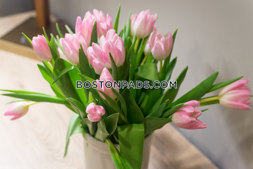 BOSTON - NORTH END - 1 Bed, 1 Bath - Image 13