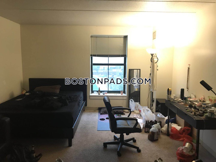 BOSTON - NORTHEASTERN/SYMPHONY - 1 Bed, 1 Bath - Image 14