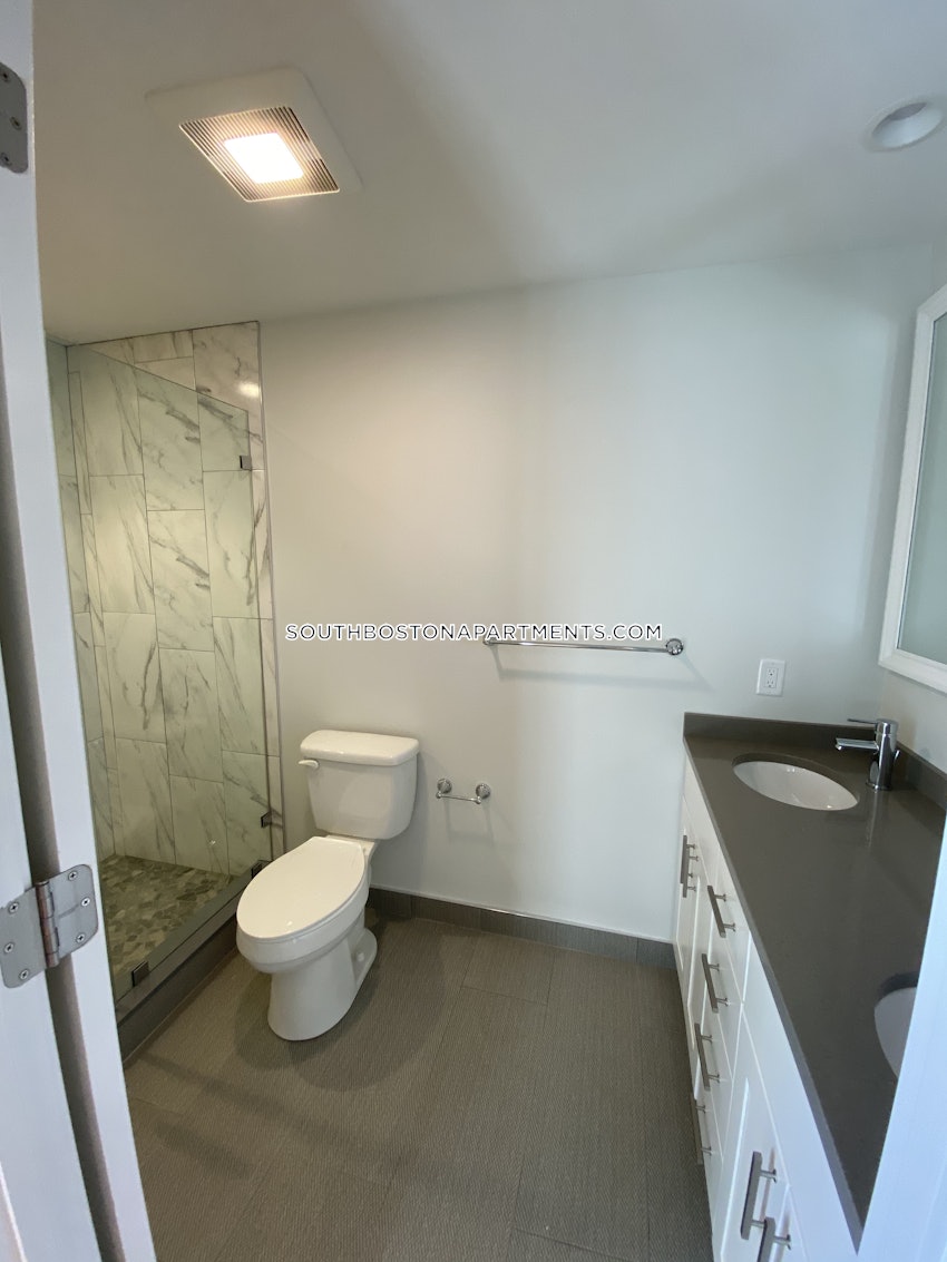 BOSTON - SOUTH BOSTON - WEST SIDE - 2 Beds, 2 Baths - Image 23