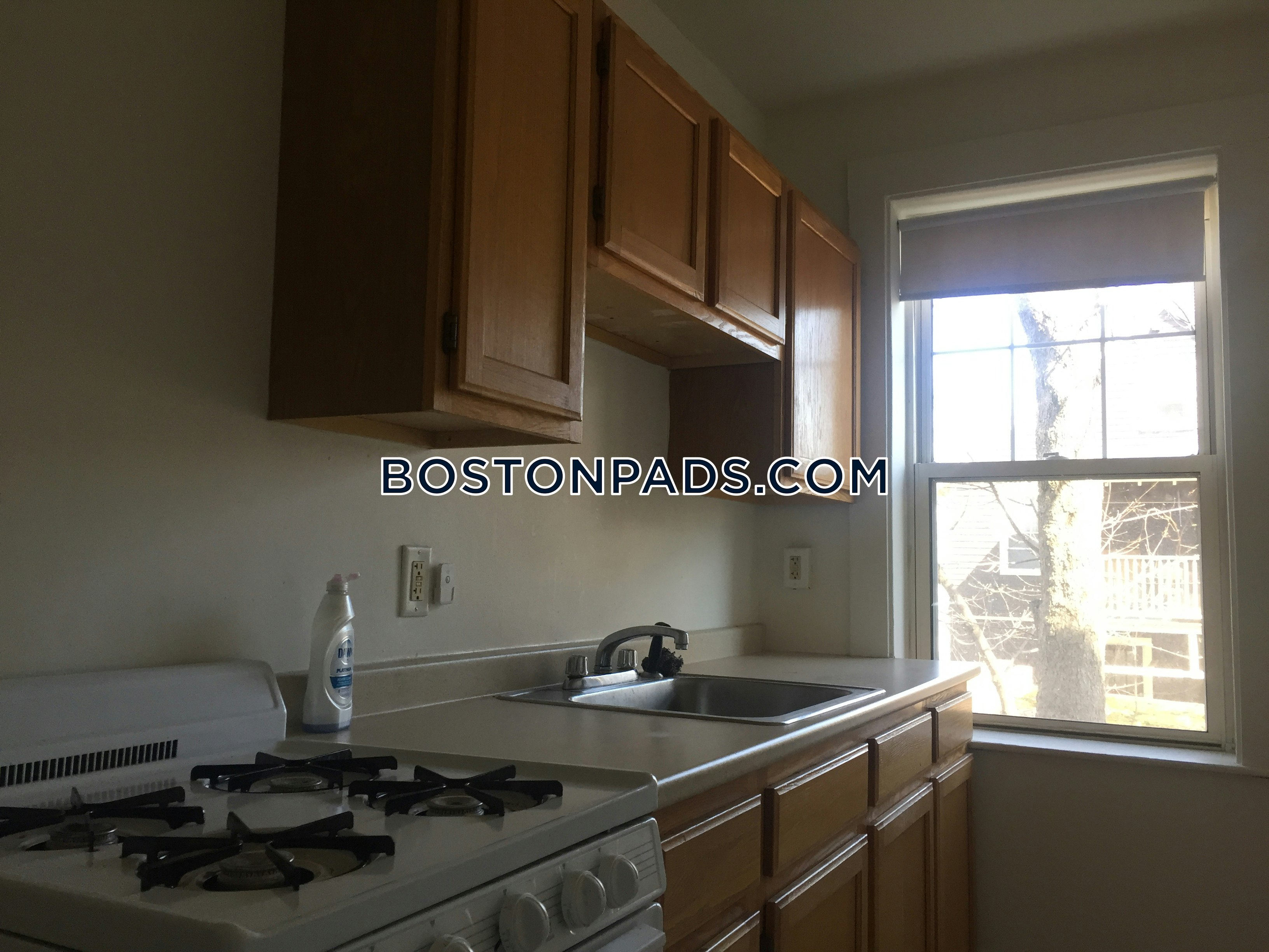 somerville-apartment-for-rent-1-bedroom-1-bath-winter-hill-2300-5974847