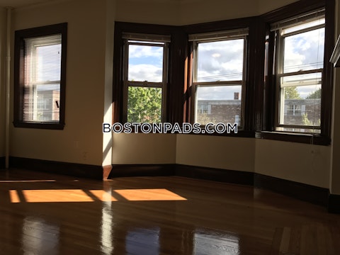 Summer St. Somerville photo 26