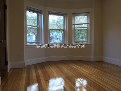 Summer St. Somerville photo 16