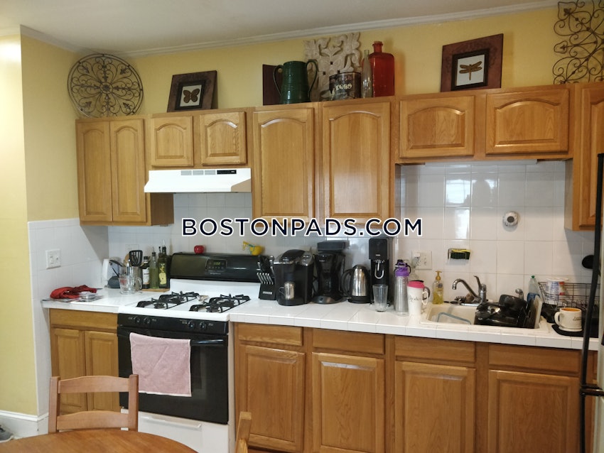 BOSTON - BRIGHTON - NORTH BRIGHTON - 1 Bed, 1 Bath - Image 4