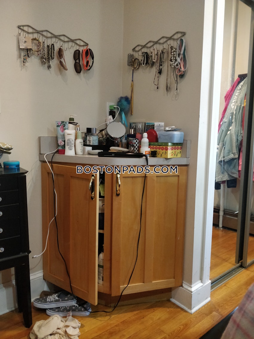 BOSTON - BRIGHTON - NORTH BRIGHTON - 1 Bed, 1 Bath - Image 16