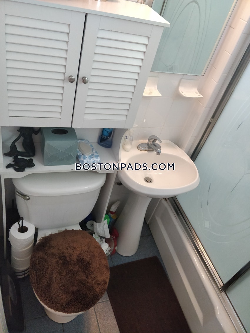 BOSTON - BRIGHTON - NORTH BRIGHTON - 1 Bed, 1 Bath - Image 15