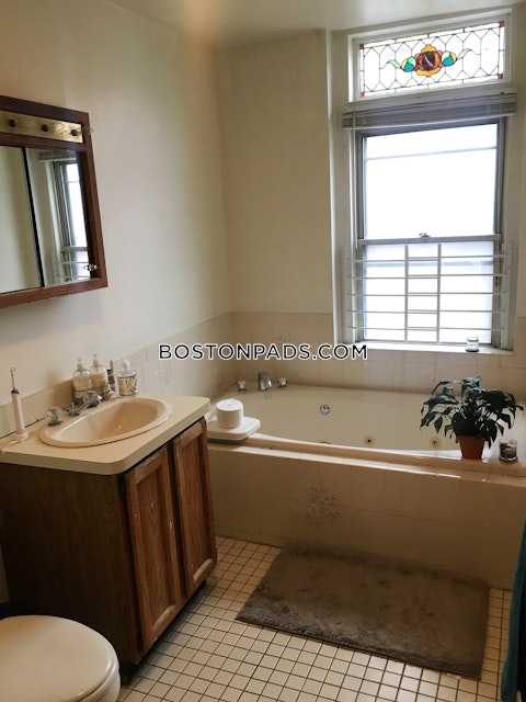 Commonwealth Ave. Boston photo 15