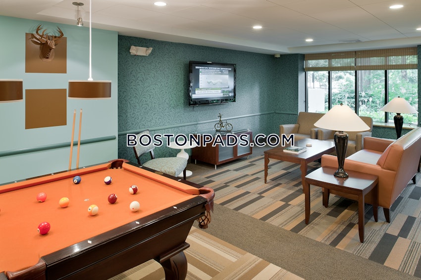 BOSTON - BRIGHTON- WASHINGTON ST./ ALLSTON ST. - 1 Bed, 1 Bath - Image 14