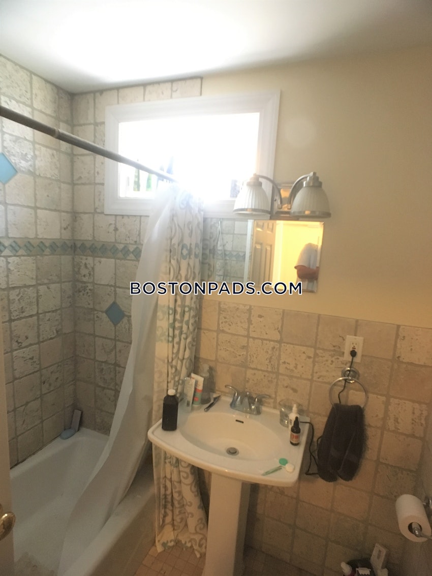 BOSTON - LOWER ALLSTON - 1 Bed, 1 Bath - Image 4