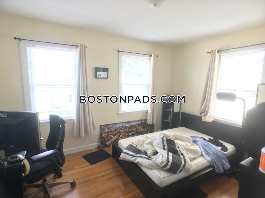 BOSTON - LOWER ALLSTON - 1 Bed, 1 Bath - Image 3