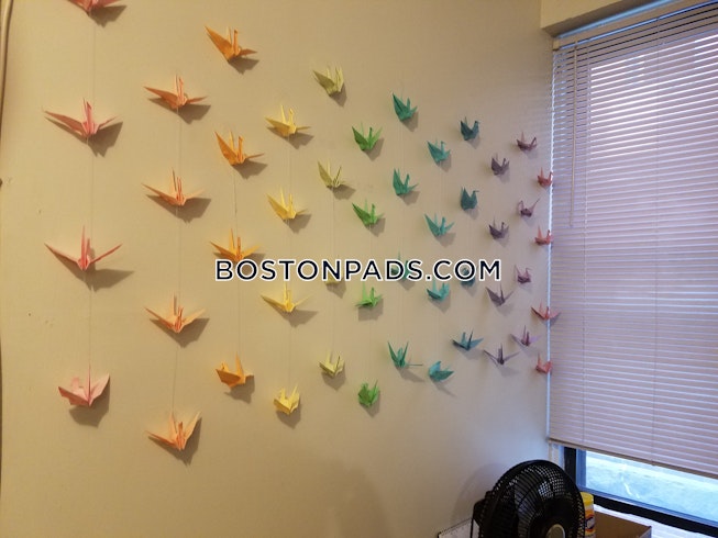 Boston - $3,300+ /mo