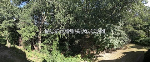 Kenrick St. Boston photo 20