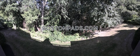 Kenrick St. Boston photo 19