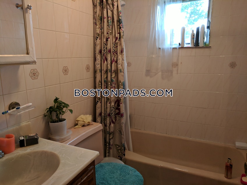 Arlington - $3,200+ /month