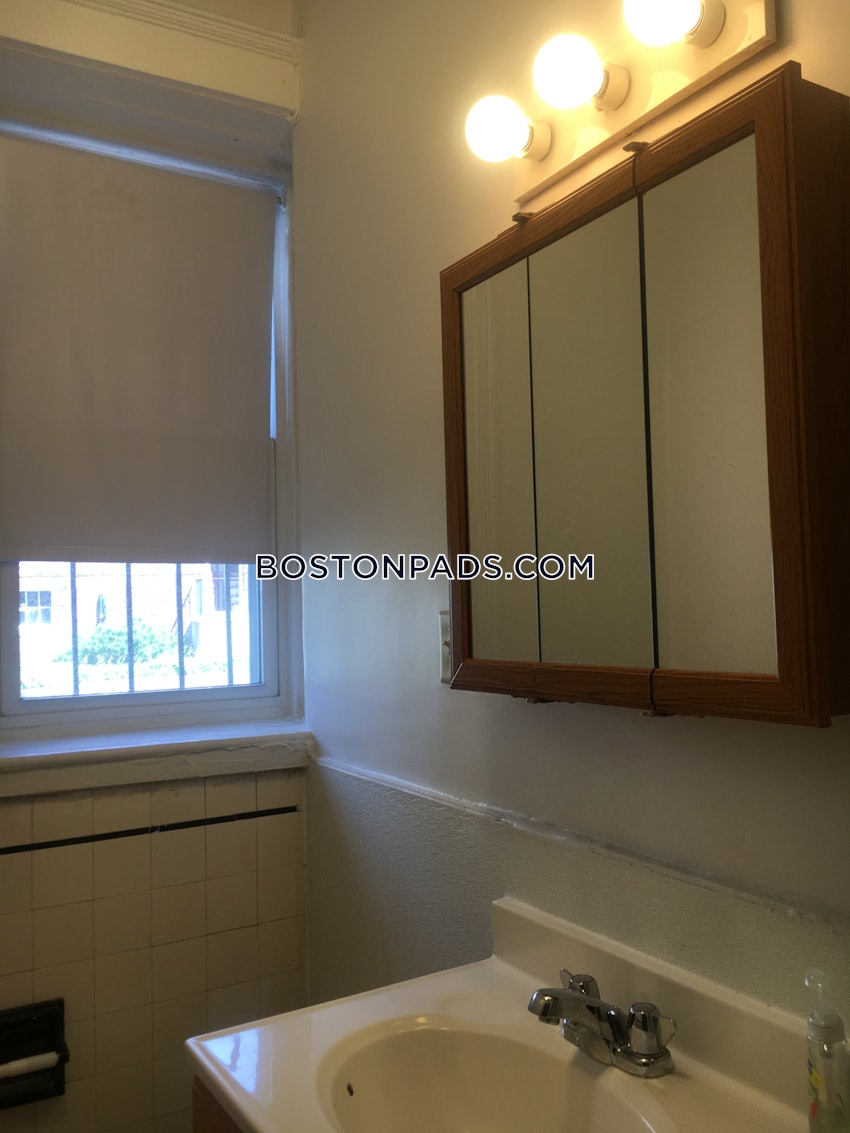 Boston - Brighton - Cleveland Circle - 1 Bed, 1 Bath - Image 30