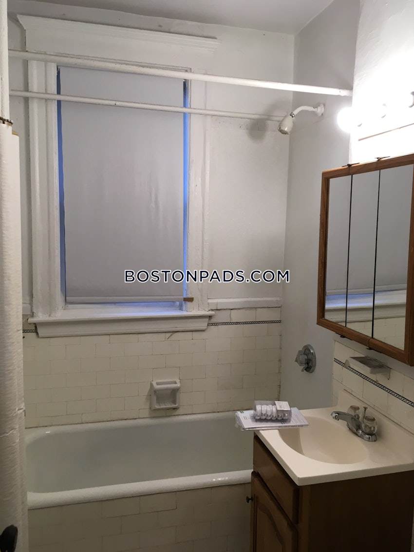 Boston - Allston/Brighton Border - 1 Bed, 1 Bath - Image 14