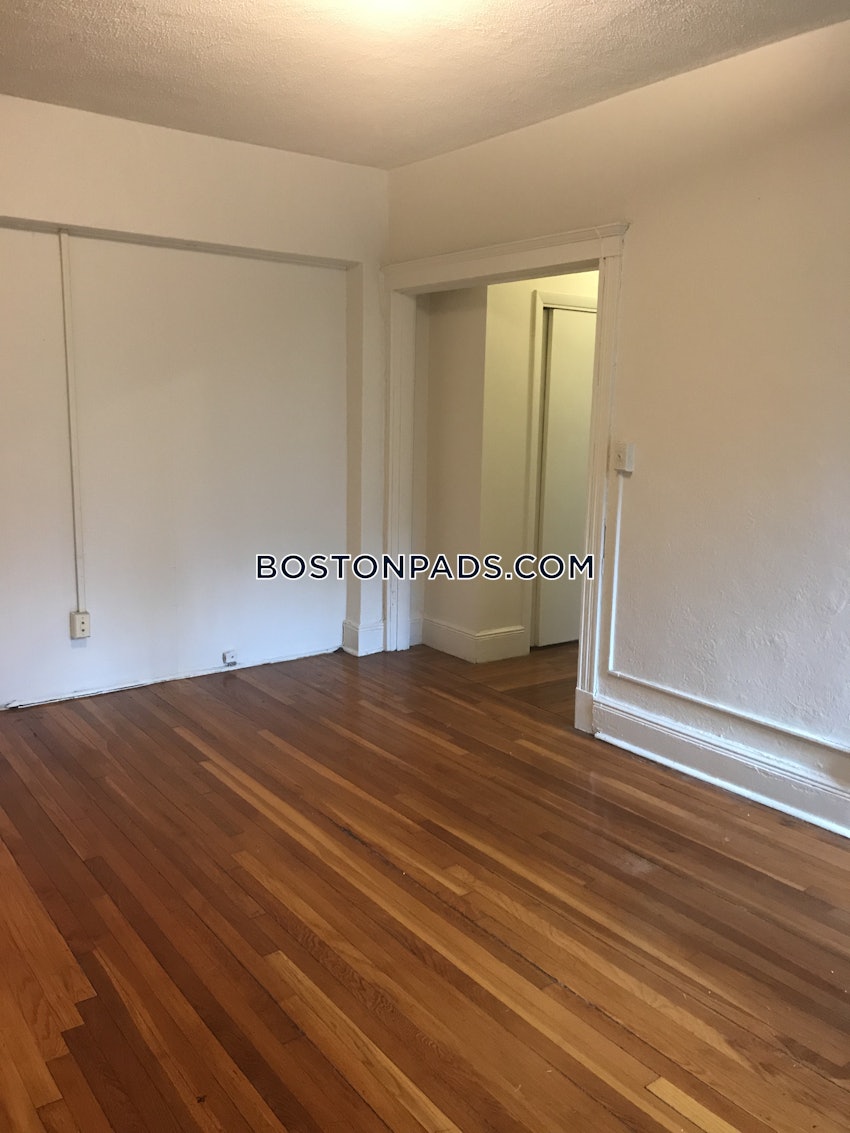 Boston - Brighton - Cleveland Circle - 1 Bed, 1 Bath - Image 4