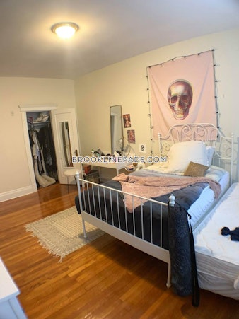 Euston St. Brookline