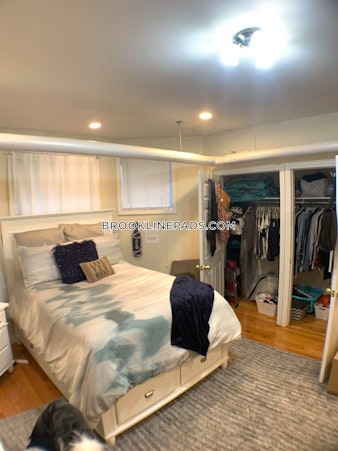 Euston St. Brookline