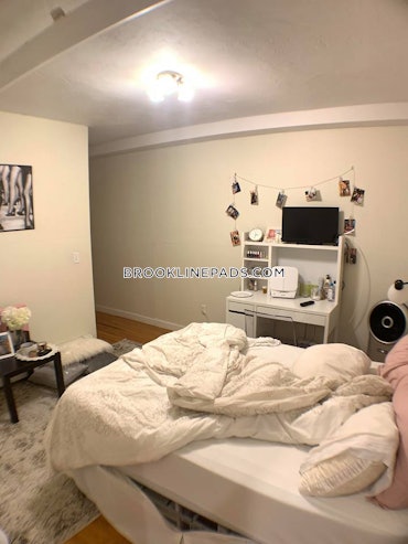 Boston University, Brookline, MA - 4 Beds, 2 Baths - $6,800 - ID#8018851