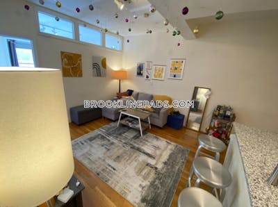 Brookline Apartment for rent 3 Bedrooms 1 Bath  Boston University - $4,050
