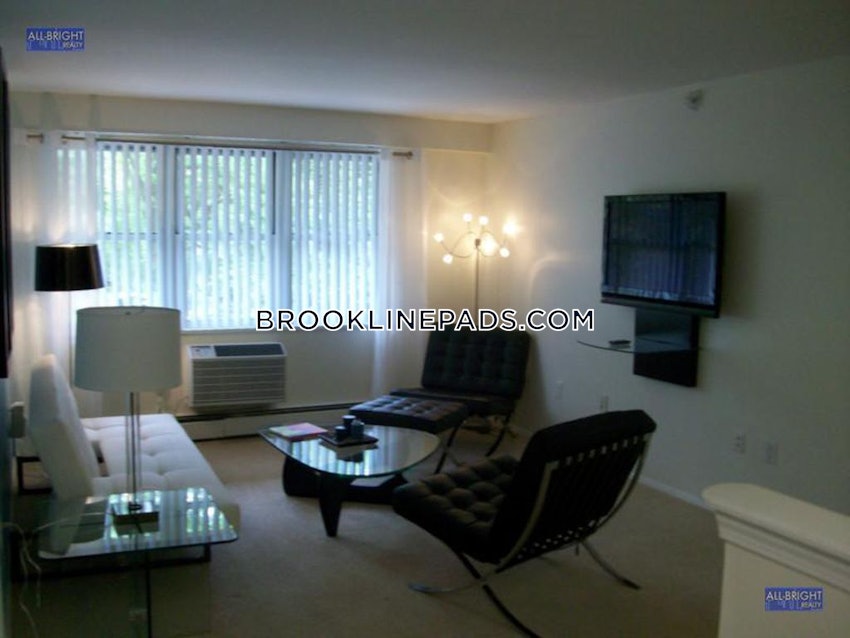 BROOKLINE- BOSTON UNIVERSITY - 1 Bed, 1 Bath - Image 1