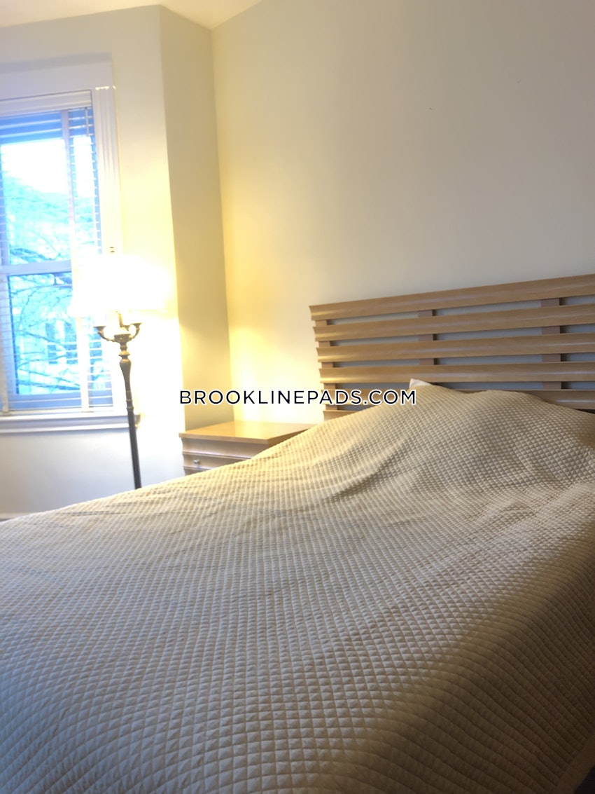 BROOKLINE- BOSTON UNIVERSITY - 1 Bed, 1 Bath - Image 9