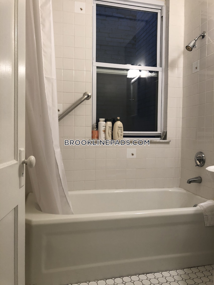 BROOKLINE- BOSTON UNIVERSITY - 1 Bed, 1 Bath - Image 19
