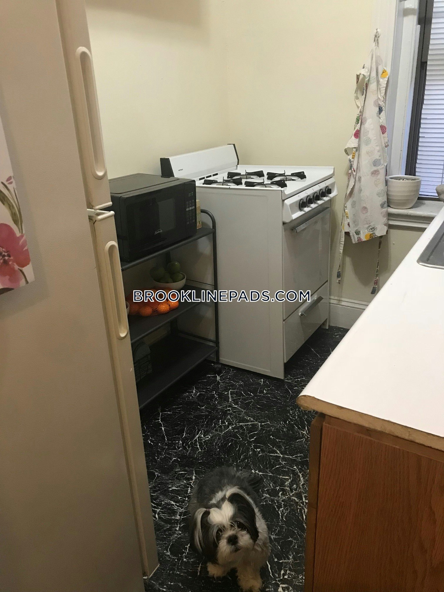 Brookline Apartment for rent Studio 1 Bath Brookline Village 2,000