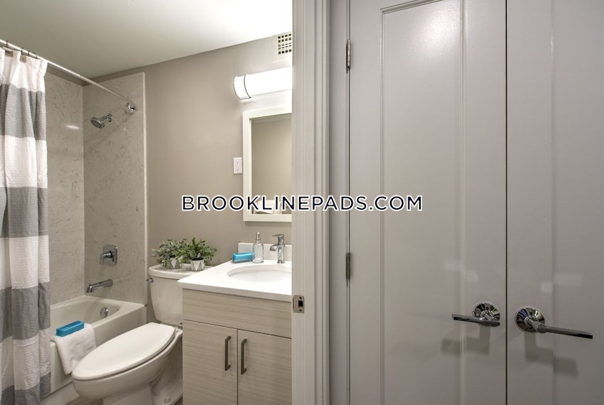 BROOKLINE- BROOKLINE VILLAGE - 1 Bed, 1 Bath - Image 9