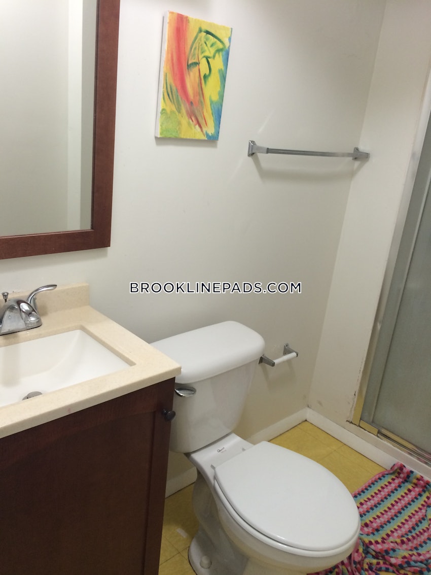 BROOKLINE - CHESTNUT HILL - 1 Bed, 1 Bath - Image 4