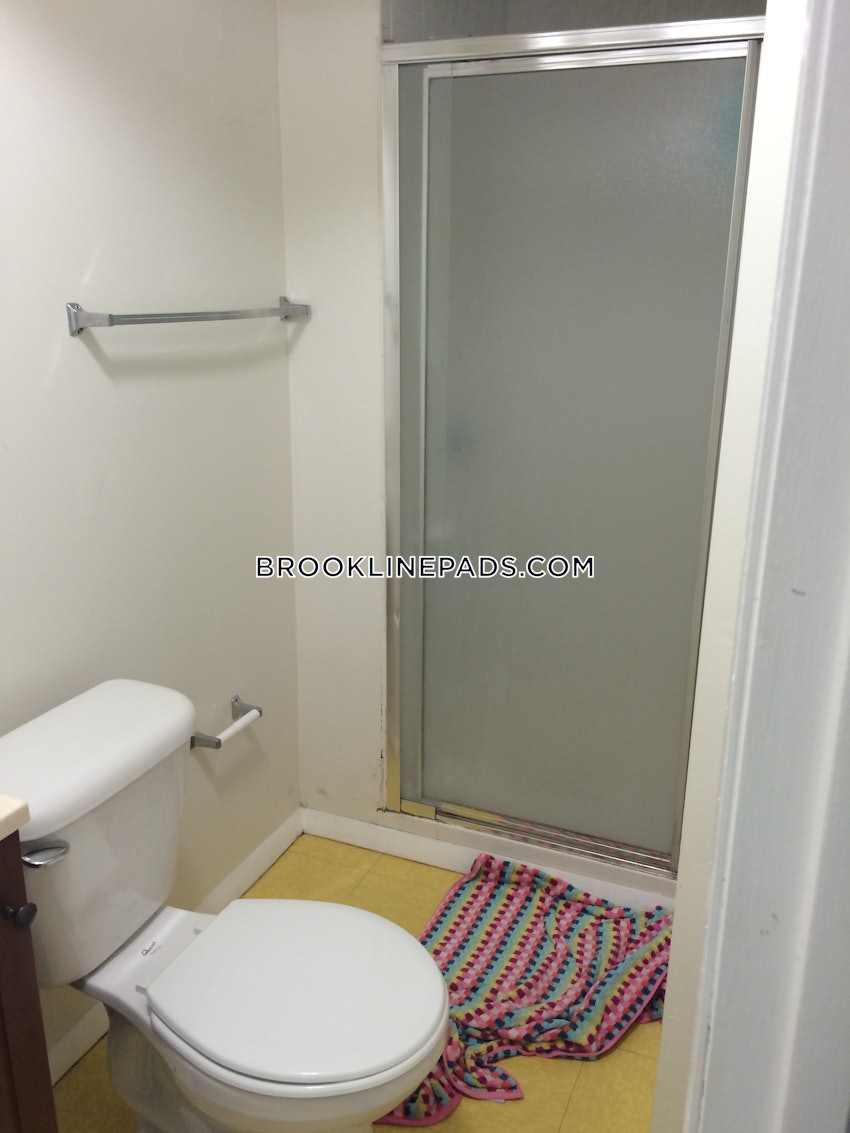 BROOKLINE - CHESTNUT HILL - 1 Bed, 1 Bath - Image 1