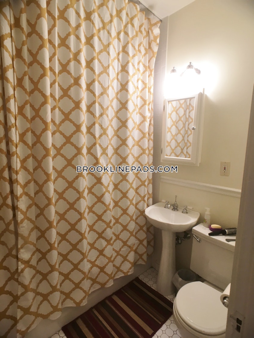 BROOKLINE- BOSTON UNIVERSITY - 1 Bed, 1 Bath - Image 7