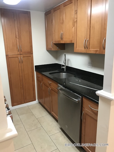 Brookline Apartment for rent 2 Bedrooms 1.5 Baths  Chestnut Hill - $3,760 No Fee