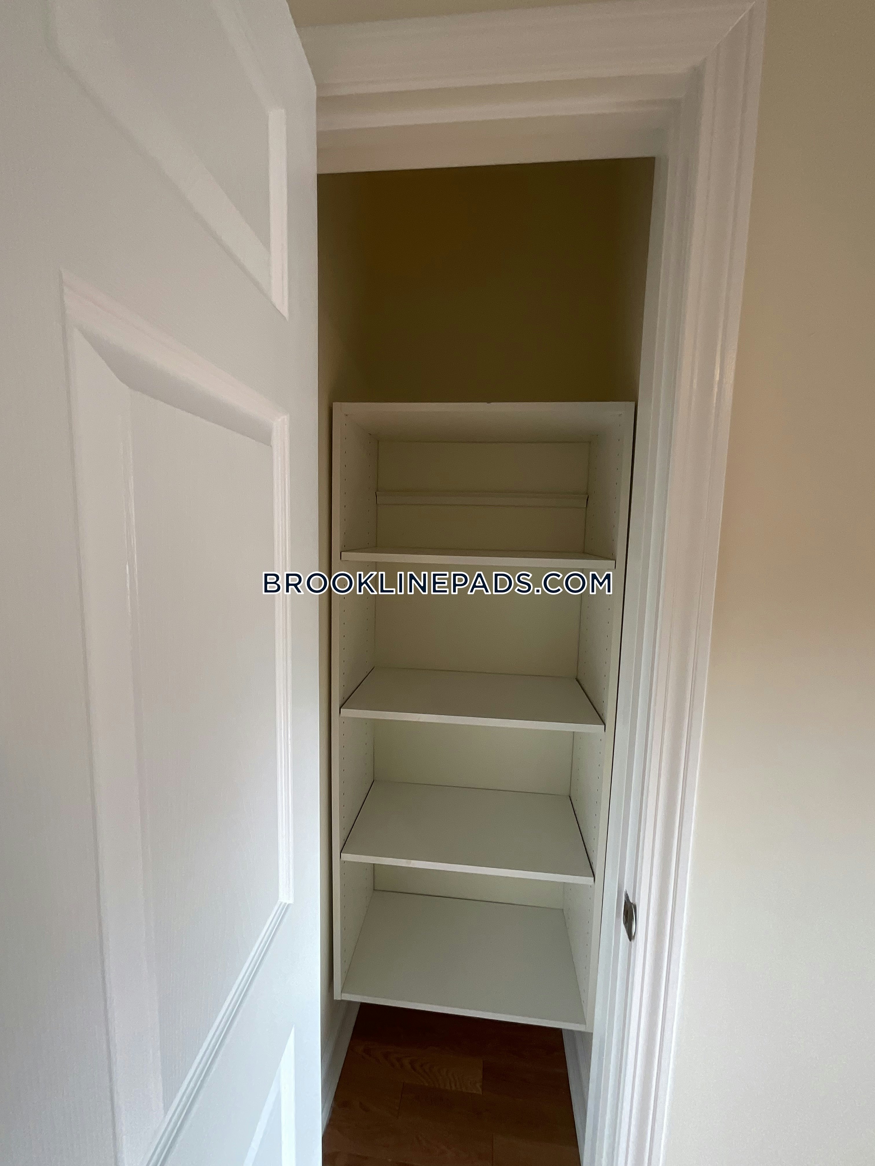 Brookline Apartment for rent 1 Bedroom 1 Bath Chestnut Hill 3,130