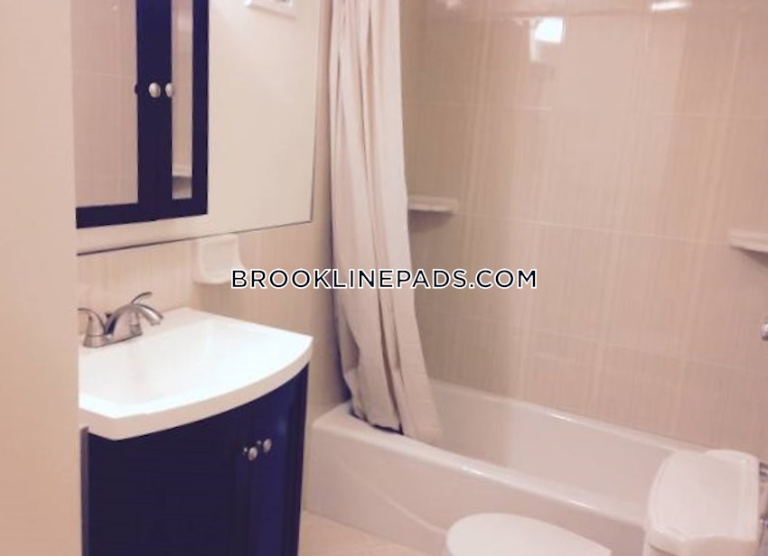 BROOKLINE - CHESTNUT HILL - 1 Bed, 1 Bath - Image 15