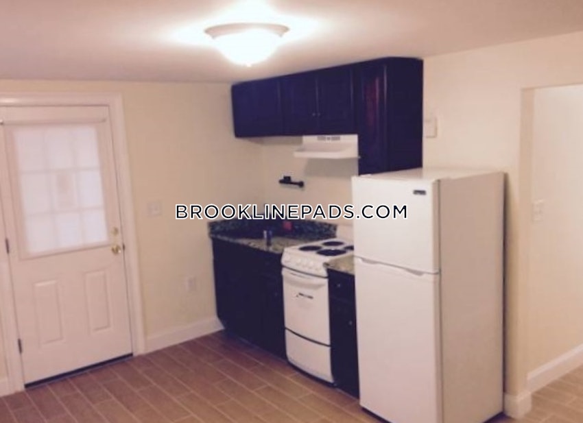 BROOKLINE - CHESTNUT HILL - 1 Bed, 1 Bath - Image 13