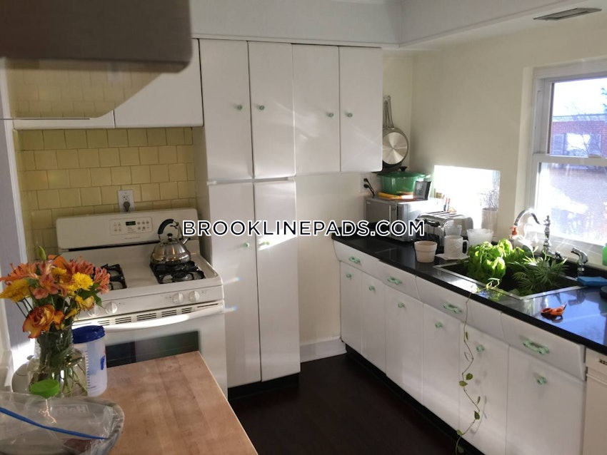 BROOKLINE - CHESTNUT HILL - 2 Beds, 1 Bath - Image 10