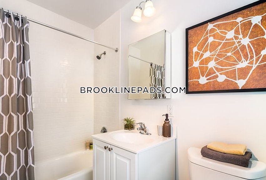 BROOKLINE - CHESTNUT HILL - 1 Bed, 1.5 Baths - Image 7