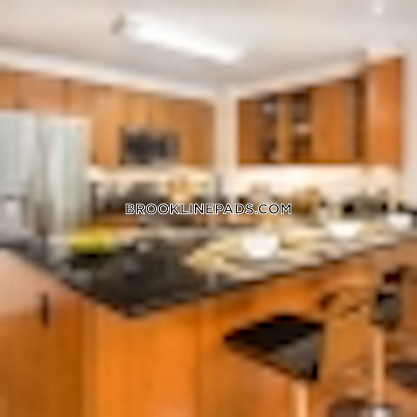 BROOKLINE- COOLIDGE CORNER - Studio , 1 Bath - Image 7