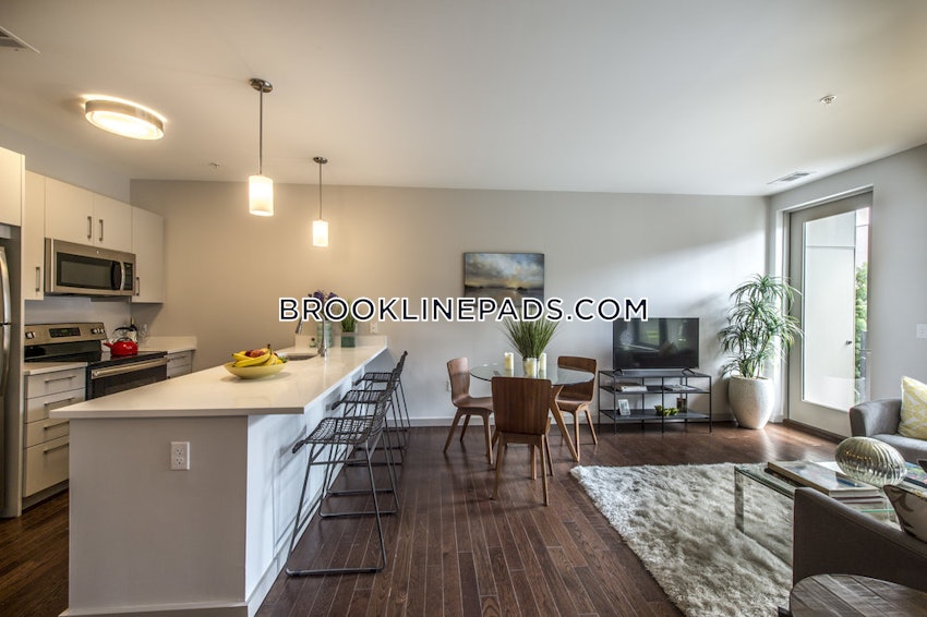 BROOKLINE- COOLIDGE CORNER - Studio , 1 Bath - Image 6