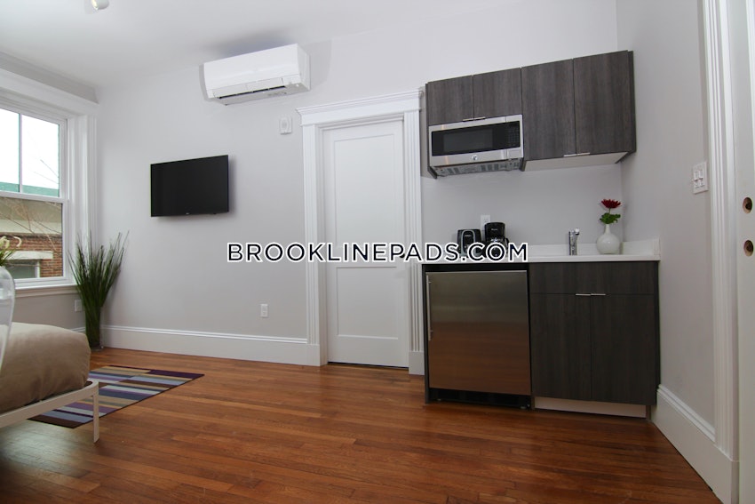 BROOKLINE- COOLIDGE CORNER - Studio , 1 Bath - Image 3