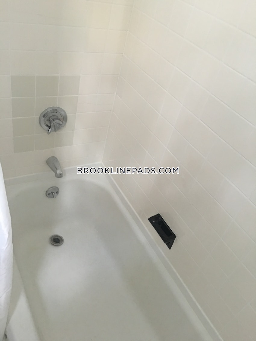 BROOKLINE- COOLIDGE CORNER - 1 Bed, 1 Bath - Image 10