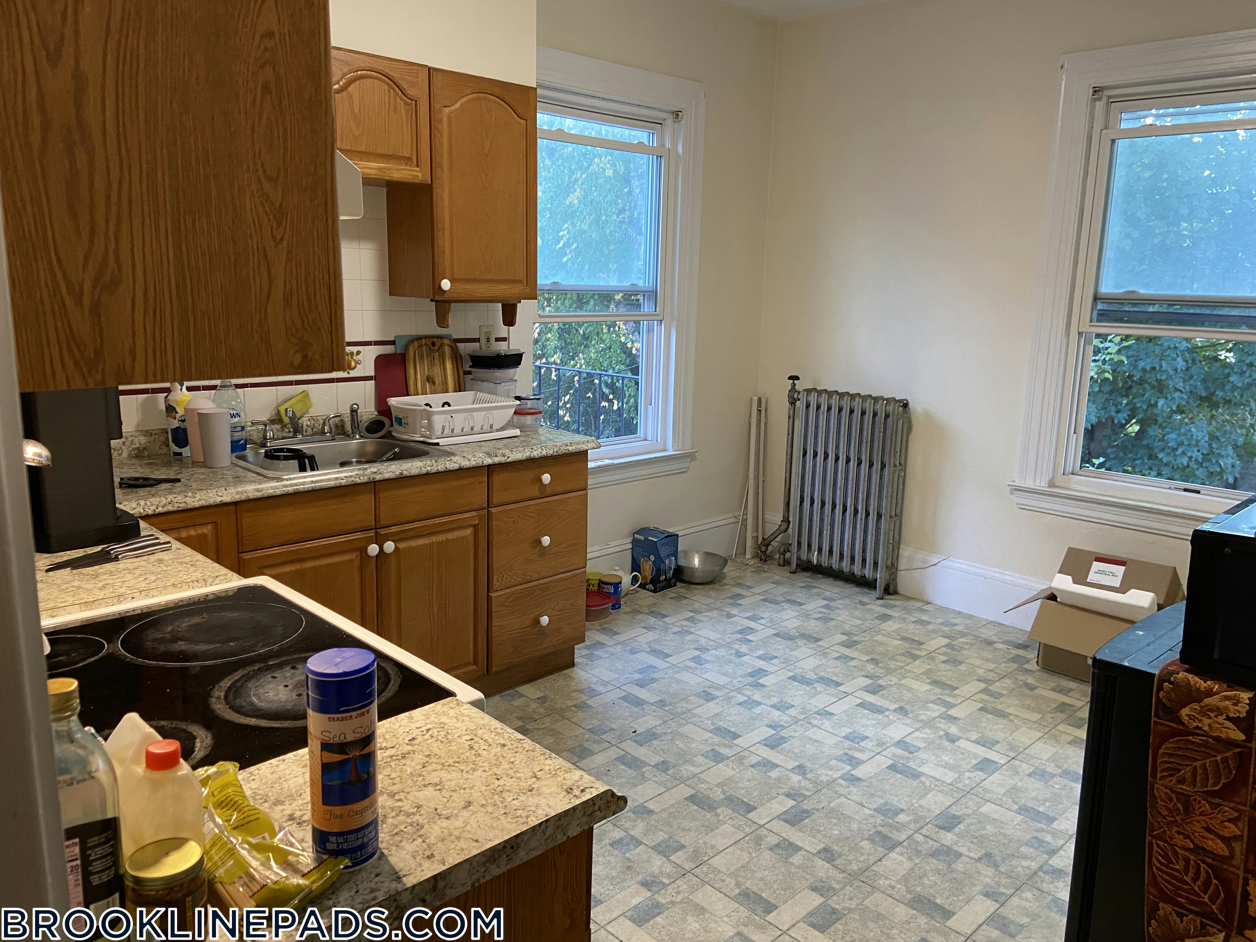 Brookline Room For Rent In BROOKLINE COOLIDGE CORNER Coolidge Corner   1634659612 2bf86ab8 47b6 47ce 83ca B92a3ecc95b5 