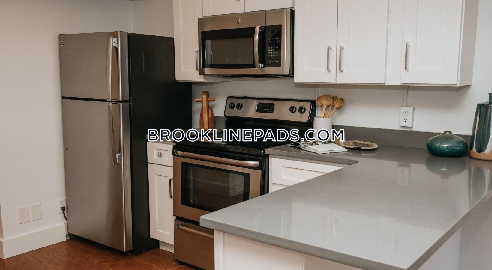 Brookline Apartment for rent 1 Bedroom 1 Bath Coolidge Corner 3,473