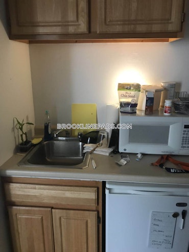 Boston University, Brookline, MA - Studio, 1 Bath - $1,895 - ID#4731563