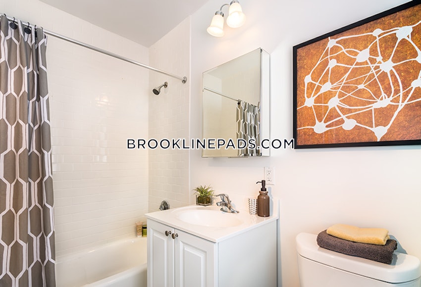 BROOKLINE- NORTH BROOKLINE - 1 Bed, 1.5 Baths - Image 6