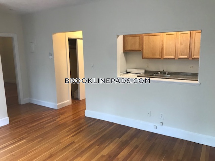 BROOKLINE- WASHINGTON SQUARE - 1 Bed, 1 Bath - Image 11