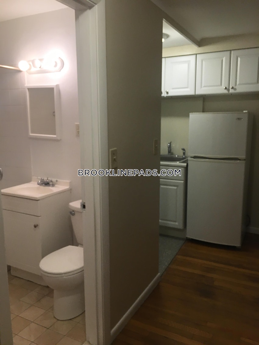 BROOKLINE- COOLIDGE CORNER - Studio , 1 Bath - Image 21